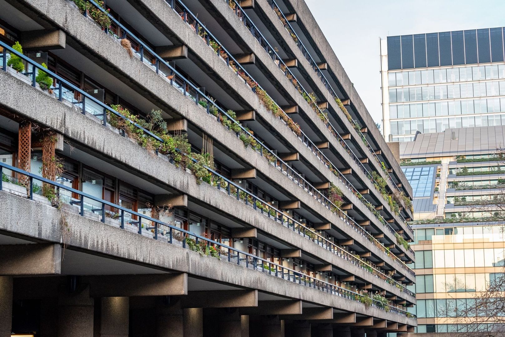 Brutalist concrete building with long balconies and abundant plants